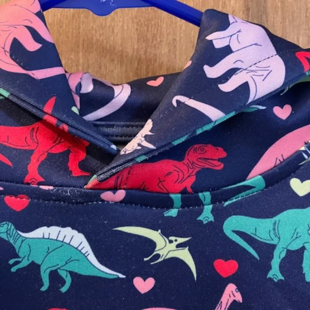 Colorful‎ Girls Dinosaur Hoodie with Hearts. Medium